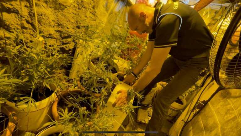 Una piantagione di marijuana in un “bunker” sotterraneo scoperto grazie al fiuto del cane Roma: due arresti a Racale