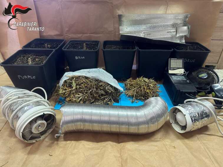 Scoperta una piccola serra domestica per la coltivazione di marijuana: denunciato un 28enne a Laterza