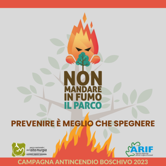 Galleria foto 'Via alla campagna antincendi nel Parco dell’Alta Murgia: collaboreranno aziende e volontari' - foto 4