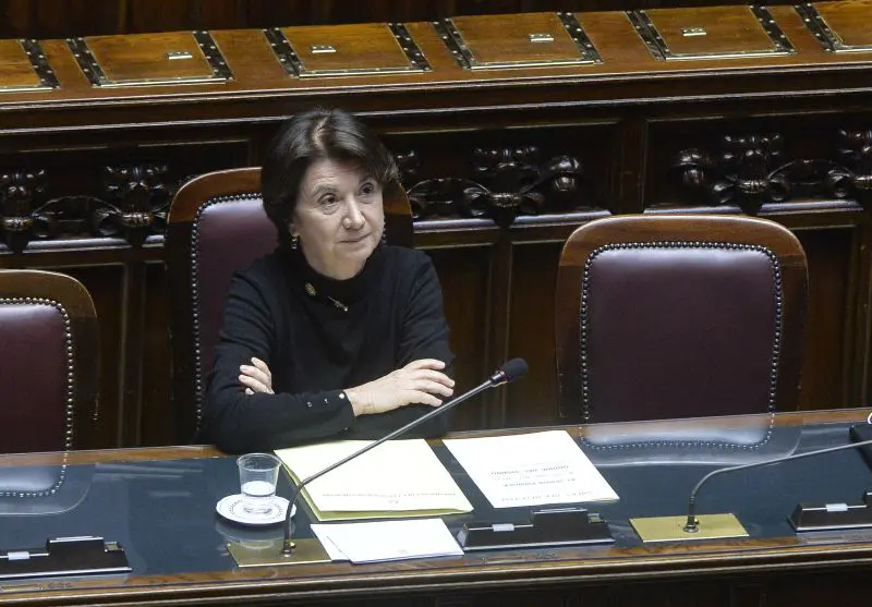 Galleria foto 'Maternità surrogata,Roccella “Utile soluzione legale per bimbi già nati”' - foto 1