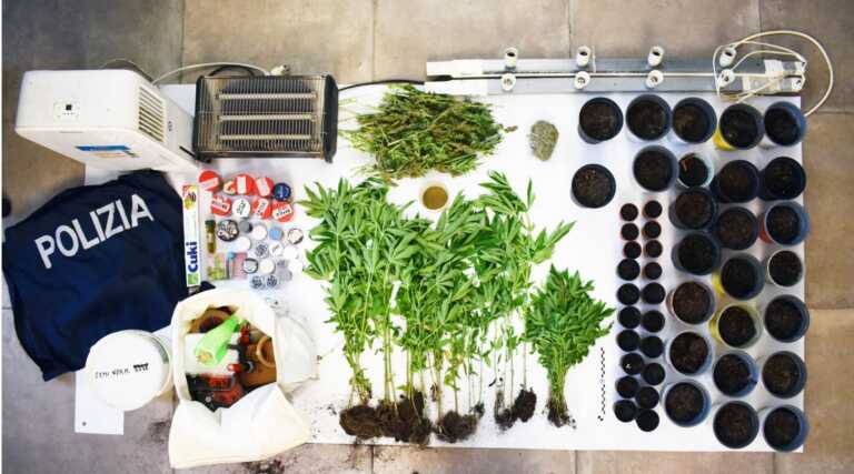 Coltivava marijuana in un fondo agricolo a Marconia: arrestato un 65enne di Pisticci