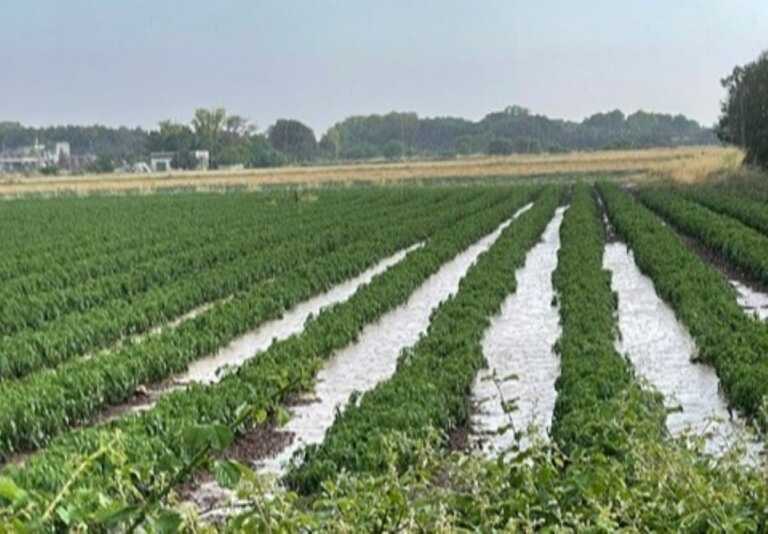 Grandine nelle province di Lecce e Foggia: la Puglia chiede lo stato di calamità