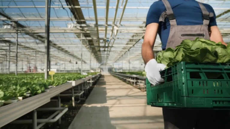 Galleria foto 'Un’impresa agricola su 4 investirà nel digitale entro il 2024' - foto 1