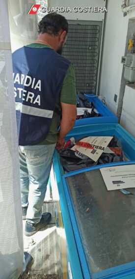 Galleria foto 'Sequestrati 165 kg di pesce a Manfredonia: poca pulizia e conservazione non a norma' - foto 1