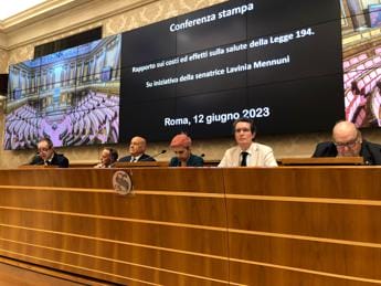 Galleria foto 'Aborto, Rapporto Opa: “Aumenta farmacologico, 60 mln spesi in un anno, serve sistema sorveglianza”' - foto 1