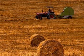 Agricoltura: Ifad, ‘promuoviamo cultura per nuove idee e spazi di collaborazione’