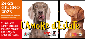 Galleria foto '‘Alimenta l’Amore’, set fotografico con l’amico a 4 zampe al Castello Sforzesco di Milano' - foto 1