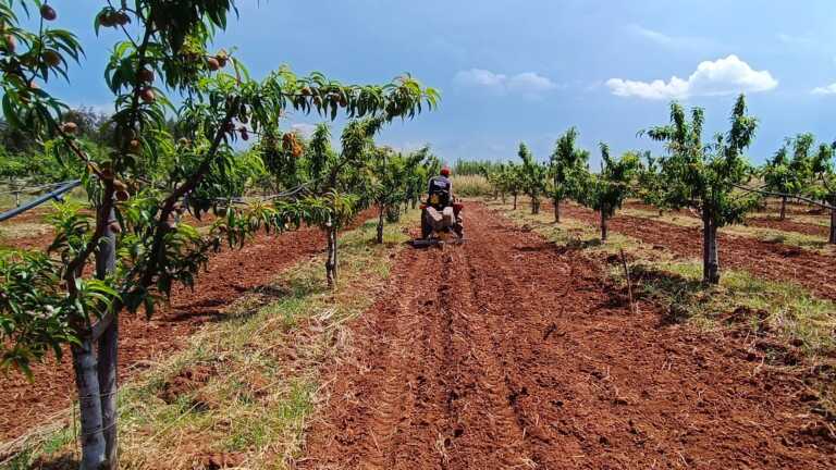 Armani in Puglia per un progetto sul cotone ecosostenibile: «Nella moda tutto comincia dal materiale»