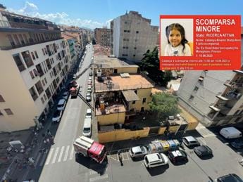 Galleria foto 'Bimba scomparsa a Firenze, gen. Garofano: “Mia esperienza a disposizione per ritrovarla”' - foto 1