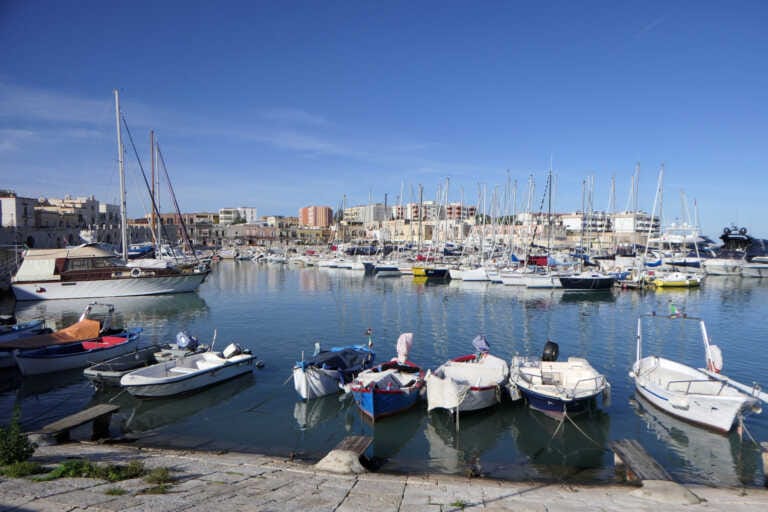 Bisceglie in campo per l’Emilia Romagna: arte e cibo nel segno della solidarietà