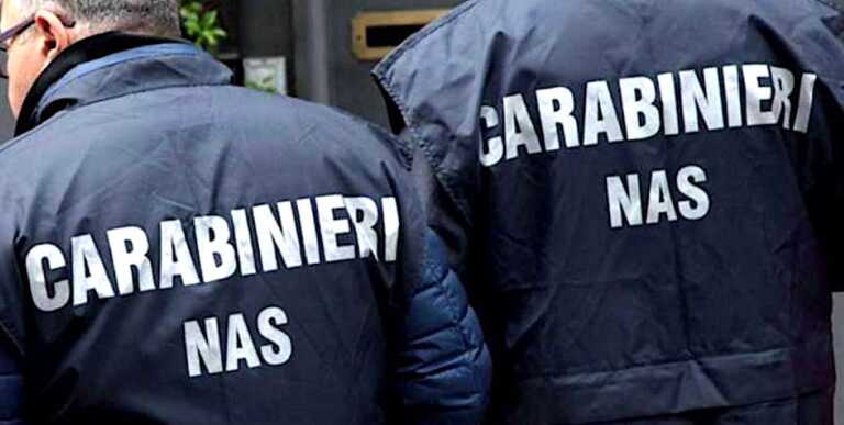 Vendemmia, i Nas in aziende e depositi: chiuse più di dieci strutture nelle province di Taranto e Brindisi