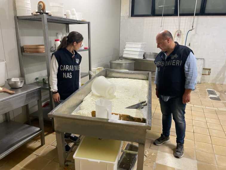 Andria, scoperto un caseificio abusivo in un locale abbandonato in pieno centro: multato il proprietario