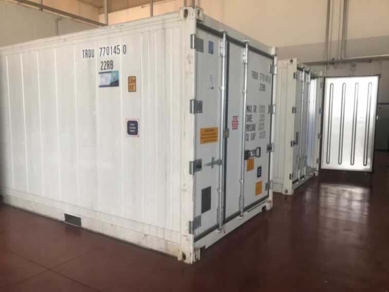 Galleria foto 'Le merci viaggiano in aereo con il progetto “Fresh Ways”: all’Aeroporto di Bari una piattaforma logistica' - foto 3