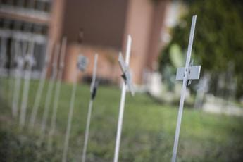 Galleria foto 'Cimitero dei feti, Garante privacy multa Comune Roma e Ama' - foto 1