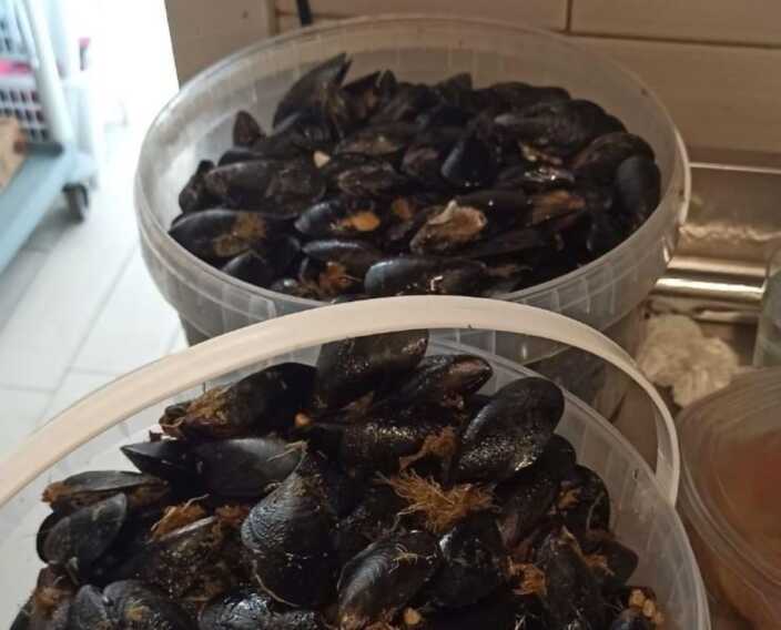 Sequestrati 165 kg di pesce a Manfredonia: poca pulizia e conservazione non a norma