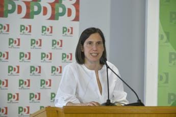 Galleria foto 'Direzione Pd, Schlein detta la linea: mobilitazioni, lealtà, alleanze' - foto 1
