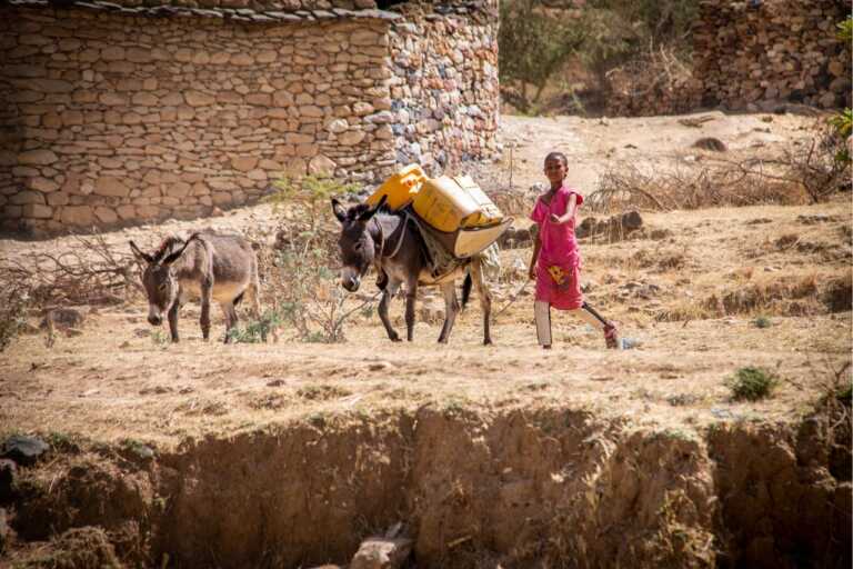 La Gaw pianta alberi in Eritrea per fermare la desertificazione: nel progetto saranno coinvolte 40 donne