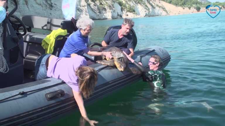 Federica Pellegrini adotta la tartaruga marina “Libera” e nuota con lei nelle acque di Mattinata – VIDEO