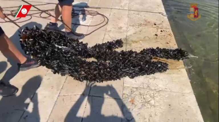 Taranto, sequestrate tre tonnellate di cozze allevate illegalmente nel Mar Piccolo: smantellati gli impianti – VIDEO