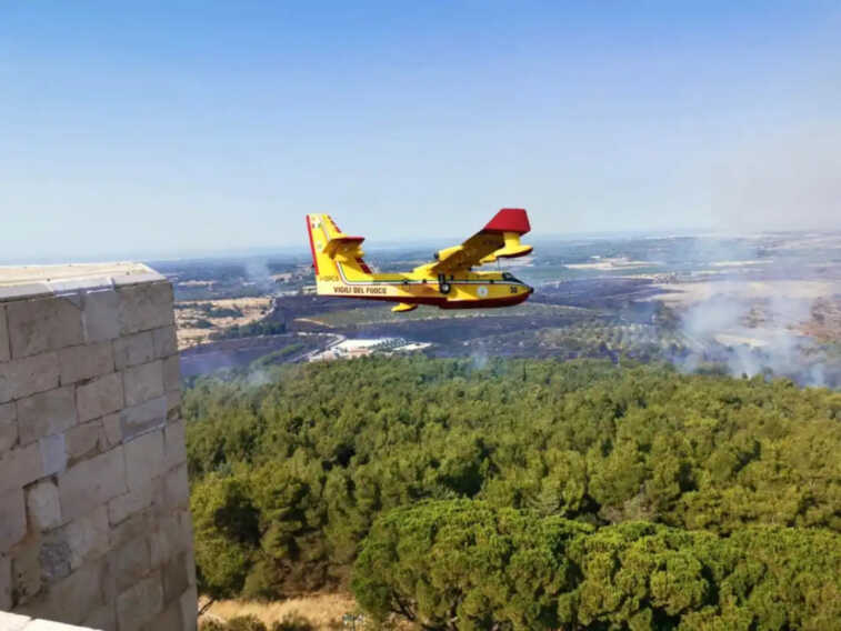 Via alla campagna antincendi nel Parco dell’Alta Murgia: collaboreranno aziende e volontari