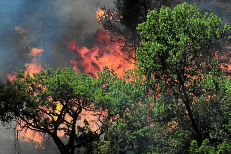 Incendi boschivi, in Puglia emanata ordinanza valida dal 15 giugno fino al 15 settembre