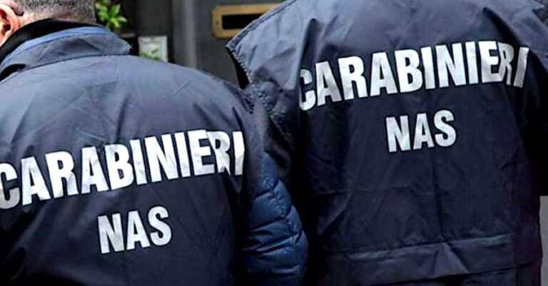 Controlli Nas in Puglia, commercio di prodotti etnici: irregolarità in depositi e ristoranti