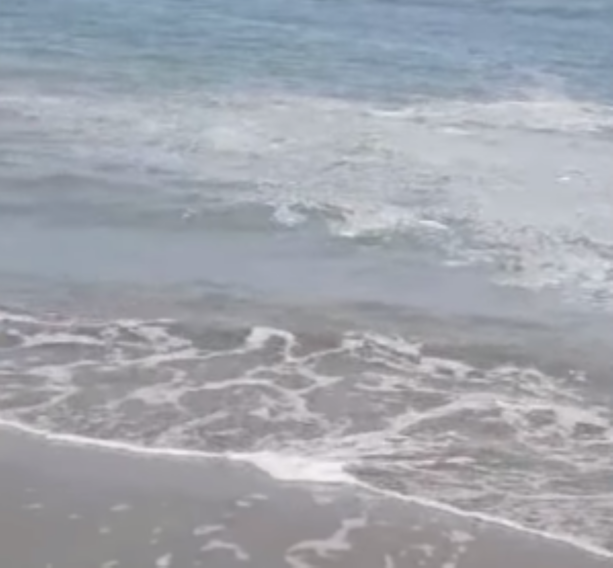 Schiuma bianca nel mare di Barletta, la rassicurazione: «Fenomeni naturali»