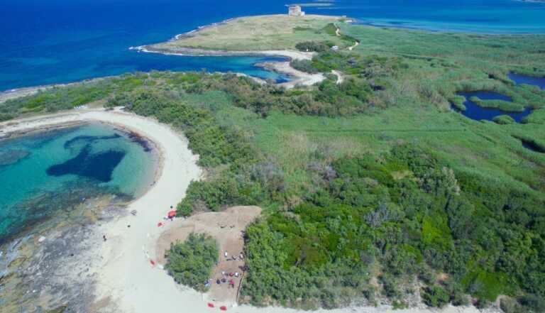 Torre Guaceto, è polemica sul parcheggio a otto euro. Il consorzio risponde: «Il trenino interno è gratis»