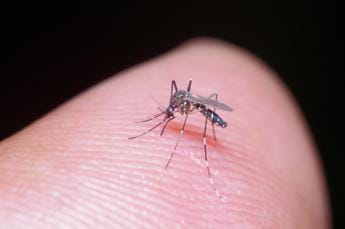 Galleria foto 'Zanzare e virus West Nile 2023, sintomi e come si cura' - foto 1