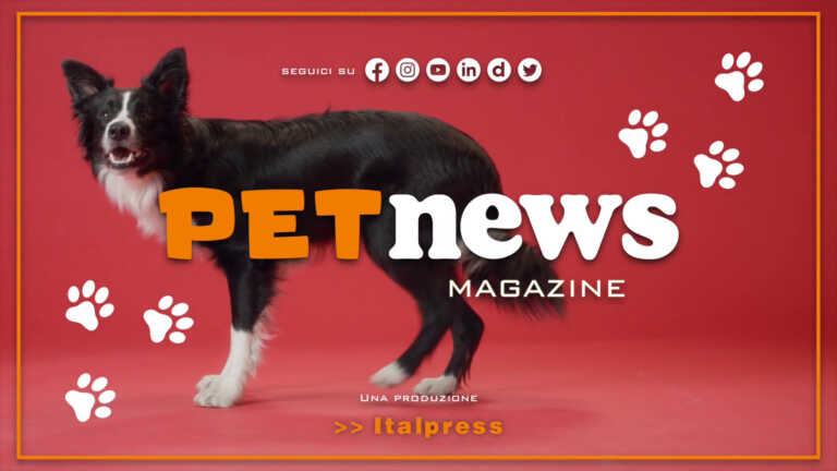Galleria foto 'PetNews Magazine – 18/7/2023' - foto 1