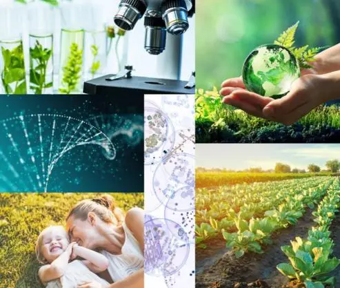 Galleria foto 'Biotecnologie in crescita, 13 miliardi di fatturato e 14 mila addetti' - foto 1