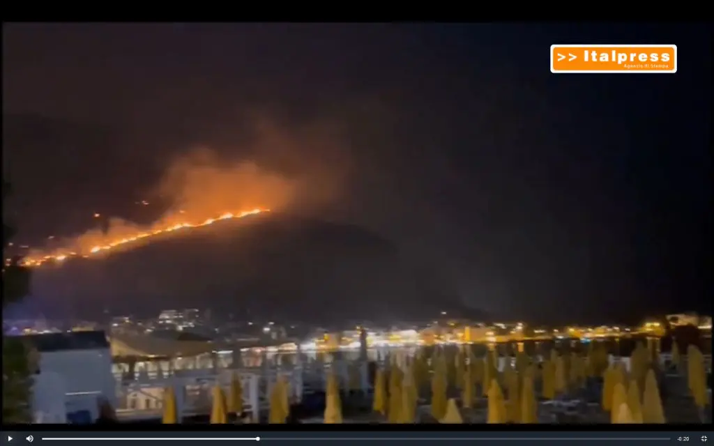 Galleria foto 'Notte di incendi a Palermo, case minacciate da roghi e chiuso aeroporto' - foto 1