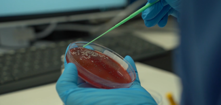 Bari, al “Di Venere” il nuovo laboratorio di Microbiologia della ASL: 180mila esami l’anno – VIDEO