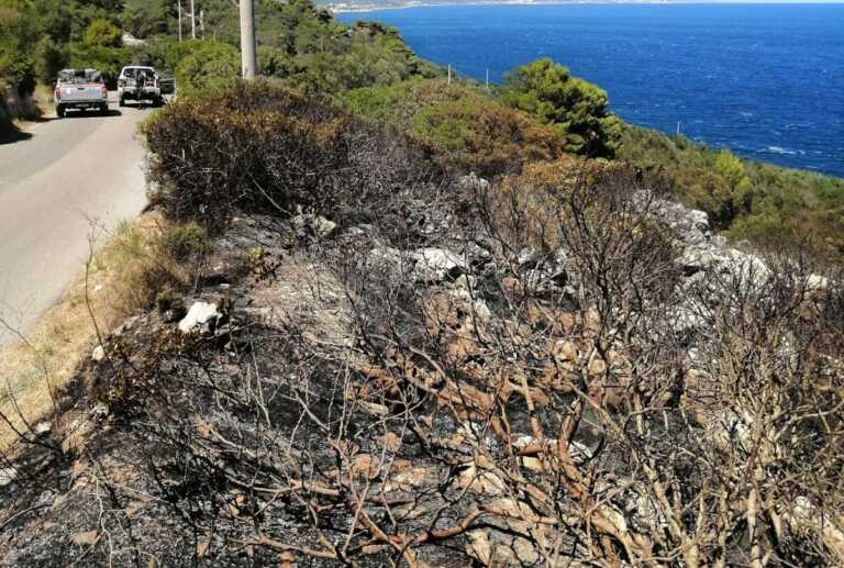 Brucia ancora il Salento: da tre ore un incendio a Marina di Corsano. A rischio 50 ettari di terra