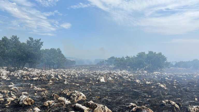 Foggia, brucia da cinque ore una superficie di 600 ettari a Monte Sant’Angelo