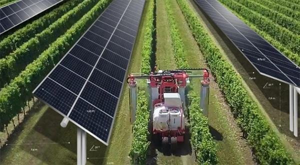 Agrivoltaico, Renexia installa in Puglia nuovi impianti a sette metri di altezza