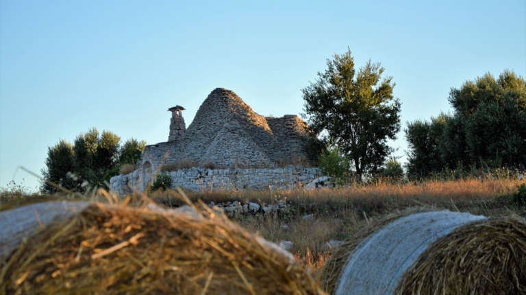 Galleria foto 'Puglia esempio di buone pratiche per lo sviluppo delle aree rurali: da gennaio finanziati più di 500 progetti' - foto 1