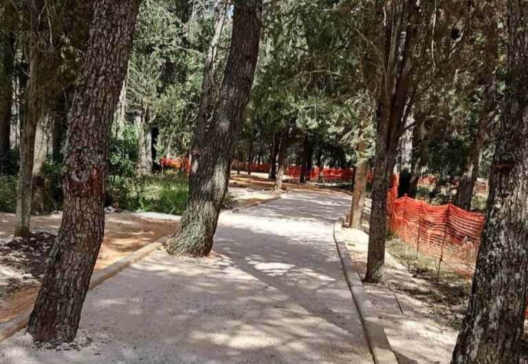 Castel del Monte ritrova la sua pineta nel nome di Federico II: «Chissà che qui non arrivi anche il G7»