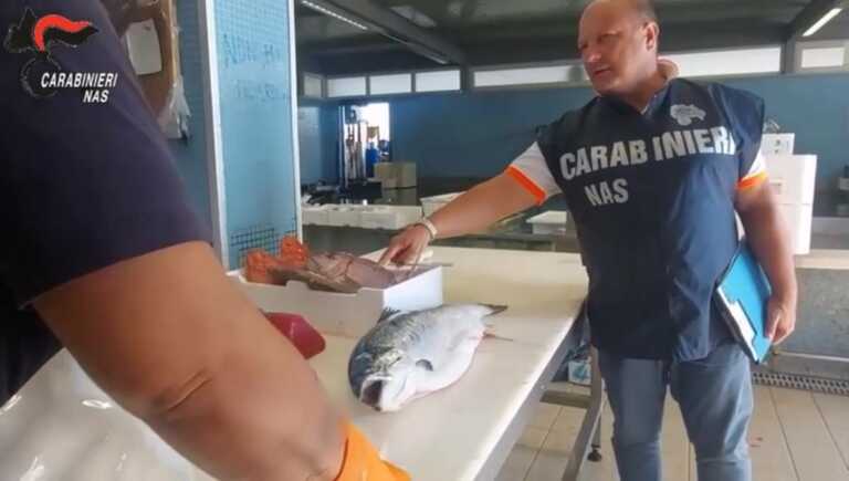 Commerciavano prodotti ittici adulterati in tutta Italia: 12 arresti a Bisceglie, indagate altre 6 persone – VIDEO