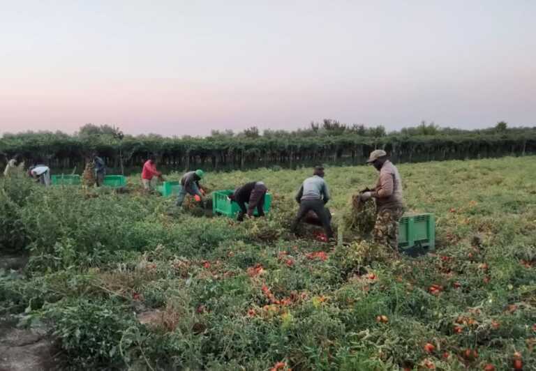 L’immigrazione? Nel Foggiano è un’«impresa felice». L’esperienza di “Riaccolto” a Casa Sankara