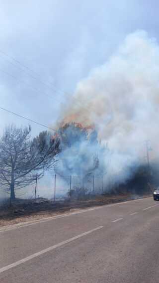 Galleria foto 'Salento in fiamme per sei ore: persi dieci ettari di pinete' - foto 1