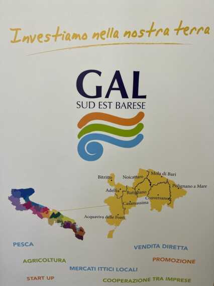 Galleria foto 'Un mare di storie da raccontare: a Polignano, nella suggestiva caletta Port’Alga, torna la Fish Experience' - foto 3