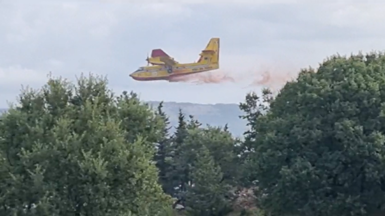 Puglia, incendi boschivi: in fumo 600 ettari in  salento e nel foggiano – VIDEO