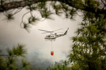 Incendi in Spagna, centinaia di evacuati a Gran Canaria