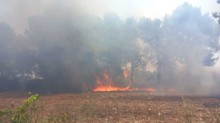 Incendio sulla provinciale tra Lecce e Frigole: famiglia in vacanza salvata dagli operatori dell’Arif – VIDEO