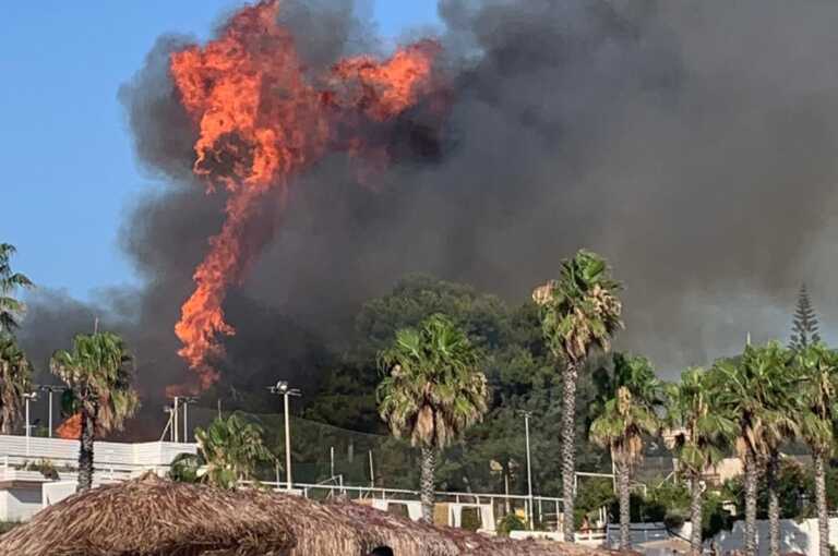 Paura a Leporano: bruciano sterpaglie e macchia mediterranea. Evacuate cinque ville – VIDEO