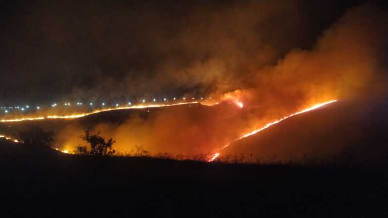 Poggiorsini, spento dopo 10 ore l’incendio sulla Murgia: allertato anche l’esercito. In fumo 300 ettari – VIDEO