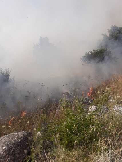 Galleria foto 'Da San Giovanni Rotondo a Vieste: Gargano in fiamme. In fumo diversi ettari di macchia mediterranea – VIDEO' - foto 2