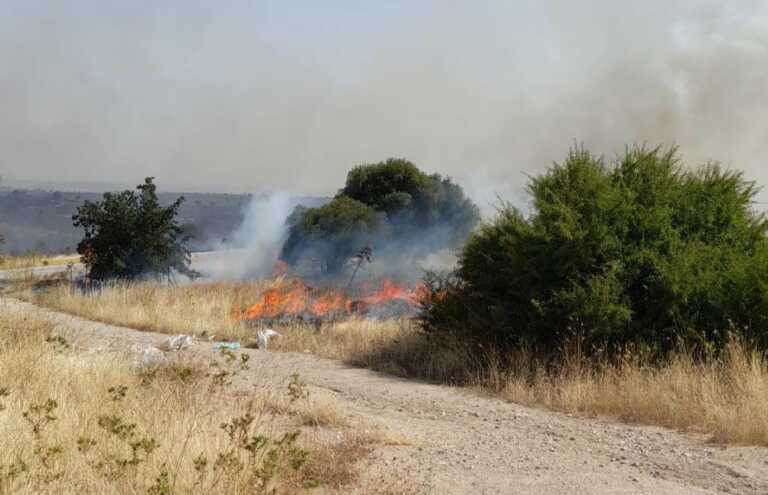 Incendio sul Gargano: in fiamme 50 ettari a San Marco in Lamis. All’opera un canadair e due fireboss – VIDEO