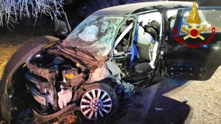 Galleria foto 'L’auto finisce fuori strada e impatta contro un albero d’ulivo: un’intera famiglia di Veglie in ospedale' - foto 2